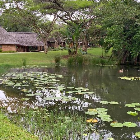 Kruger Park Lodge, Kubu Lodge 224 Hazyview Extérieur photo