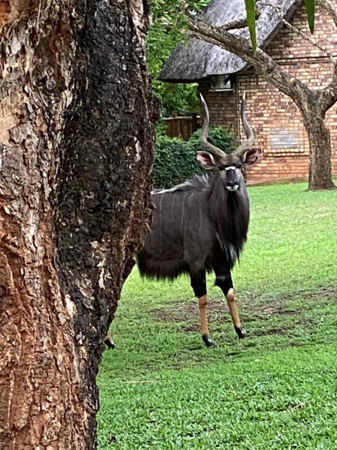 Kruger Park Lodge, Kubu Lodge 224 Hazyview Extérieur photo