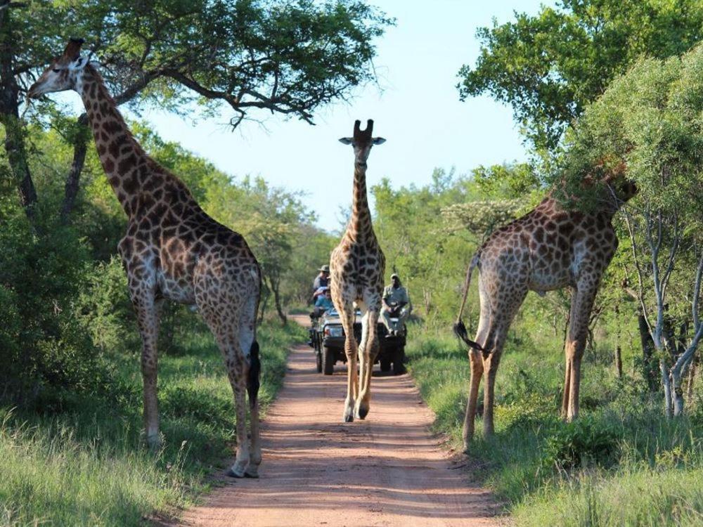 Kruger Park Lodge, Kubu Lodge 224 Hazyview Extérieur photo