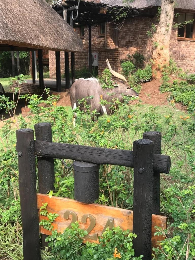 Kruger Park Lodge, Kubu Lodge 224 Hazyview Extérieur photo